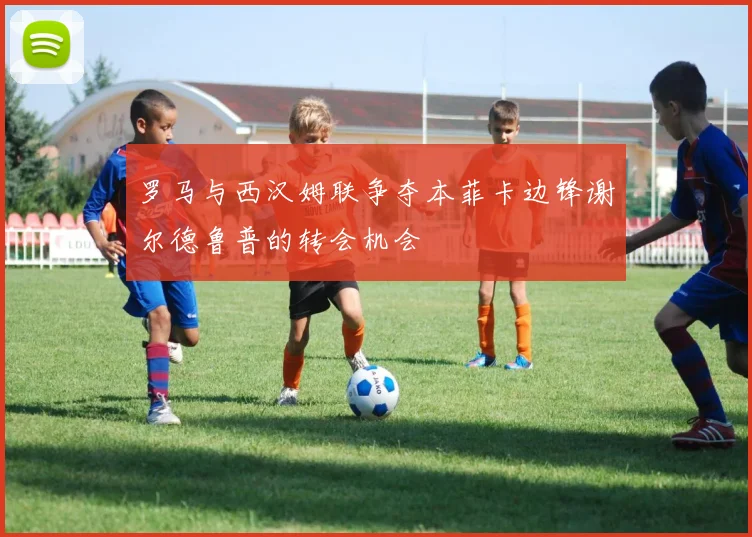 罗马与西汉姆联争夺本菲卡边锋谢尔德鲁普的转会机会